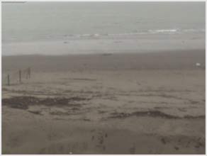 Webcam sulla spiaggia per avere informazioni meteo in tempo reale